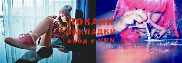 дурь Бородино